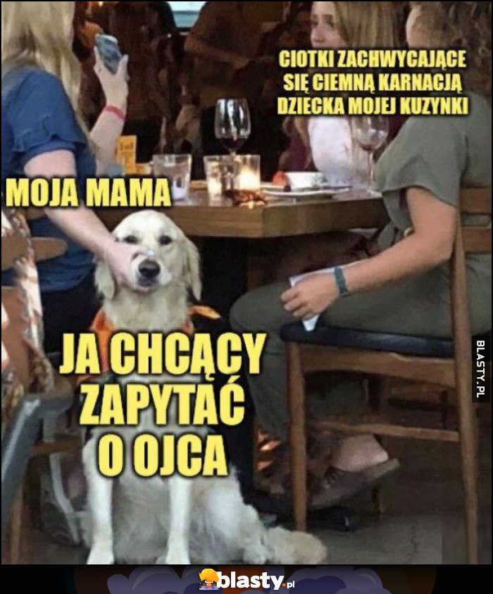 Ciotki zachwycające się ciemną karnacją dziecka mojej kuzynki, moja mama, ja chcący zapytać o ojca pies piesek
