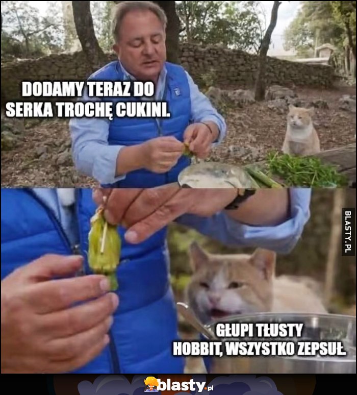 Makłowicz: dodamy teraz do serka trochę cukinii, kotek: głupi tłusty hobbit, wszystko zepsuł