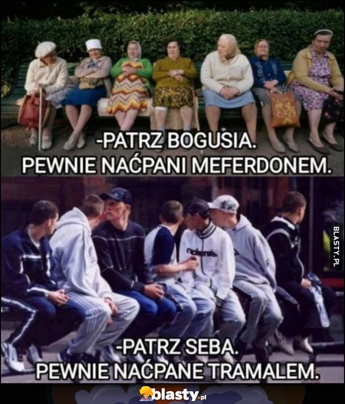 Patrz Bogusia pewnie naćpani mefedronem, patrz Seba pewnie naćpane tramalem. Stare baby i dresiarze Sebiksy