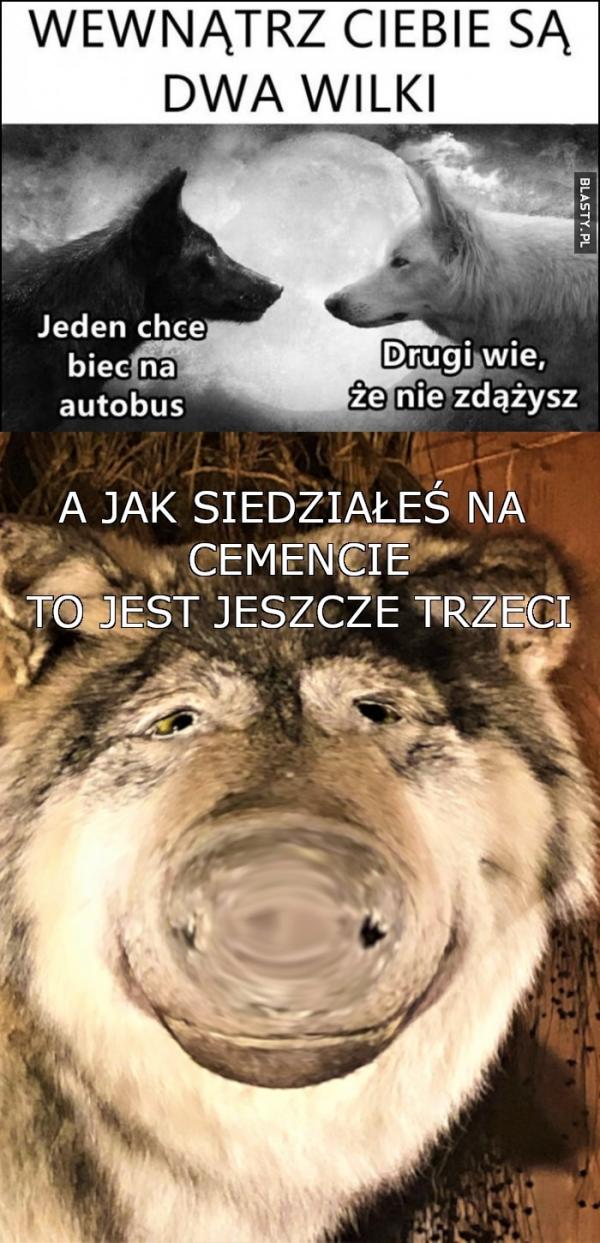 wilkodcementu