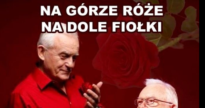 Na górze róże na dole fiołki memy, gify i śmieszne obrazki facebook