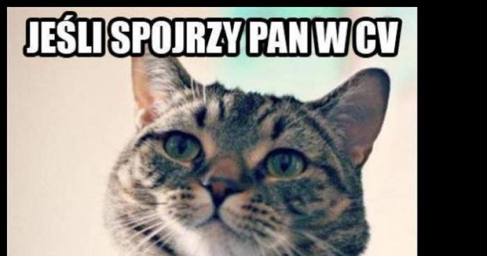 Jeśli spojrzy pan w moje CV memy, gify i śmieszne obrazki facebook ...