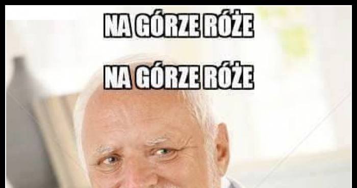 Na górze róże na dole róże mam alzhaimera na górze róże memy, gify i