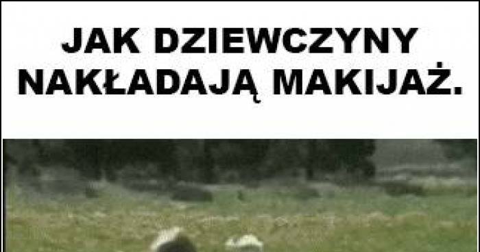 Jak Dziewczyny Nakładają Makijaż Memy Gify I śmieszne Obrazki