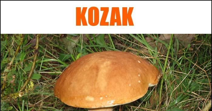 Obrazek