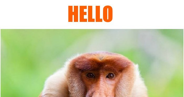 HELLO memy, gify i śmieszne obrazki facebook, tapety, demotywatory zdjęcia