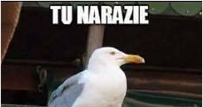 Twitter Twitter