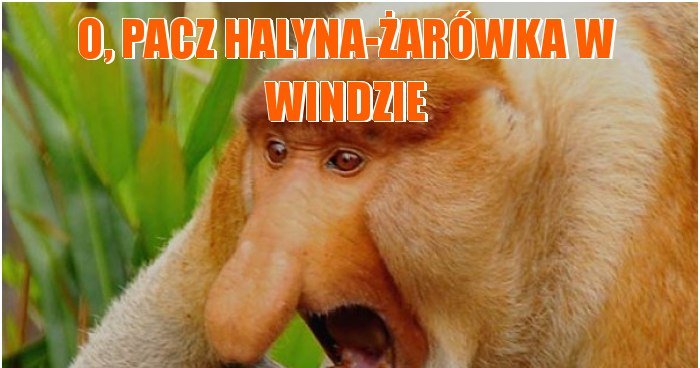 O, pacz halyna-żarówka w windzie memy, gify i śmieszne obrazki facebook ...