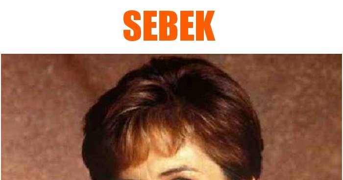 Sebek memy, gify i śmieszne obrazki facebook, tapety, demotywatory zdjęcia