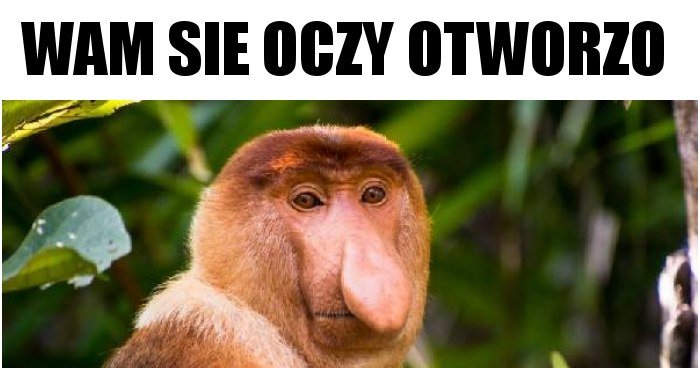 Wam sie oczy otworzo memy, gify i śmieszne obrazki facebook, tapety