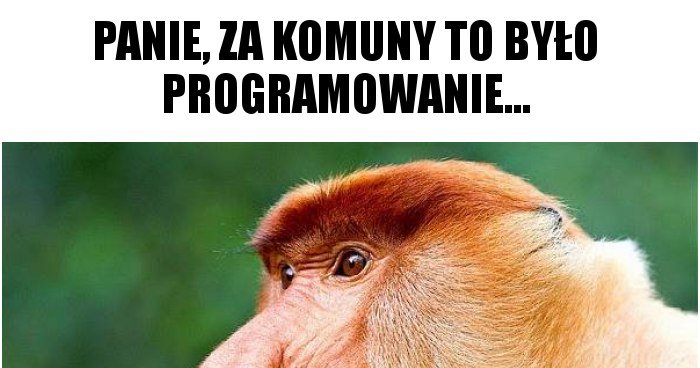 Panie, za komuny to było programowanie... memy, gify i śmieszne obrazki ...