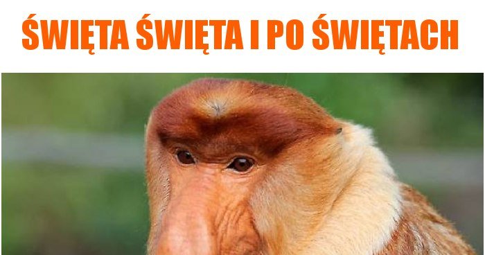 Święta święta i po świętach memy, gify i śmieszne obrazki facebook