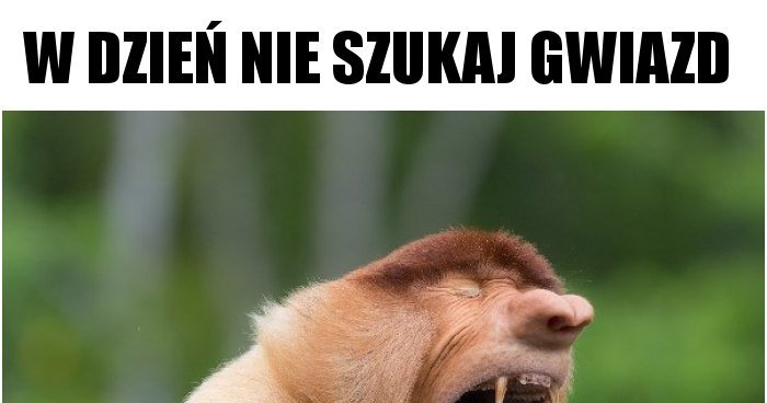 W DZIEŃ NIE SZUKAJ GWIAZD memy, gify i śmieszne obrazki facebook