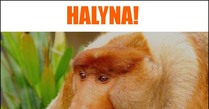 Halyna! memy, gify i śmieszne obrazki facebook, tapety, demotywatory ...