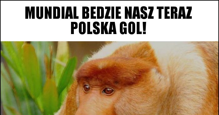 Mundial bedzie nasz teraz polska gol! memy, gify i śmieszne obrazki