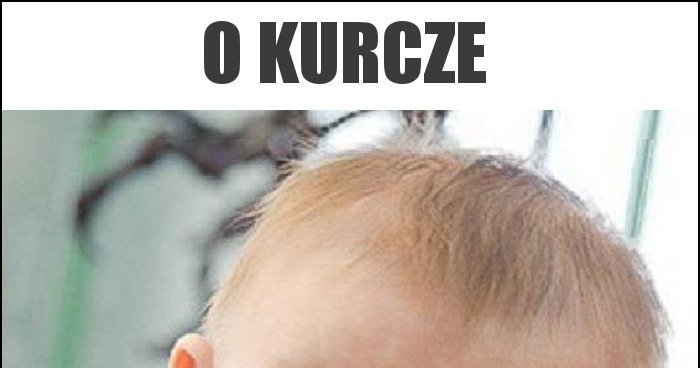 o-kurcze-memy-gify-i-mieszne-obrazki-facebook-tapety-demotywatory