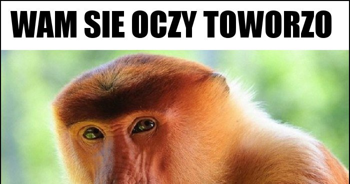 wam sie oczy toworzo memy, gify i śmieszne obrazki facebook, tapety