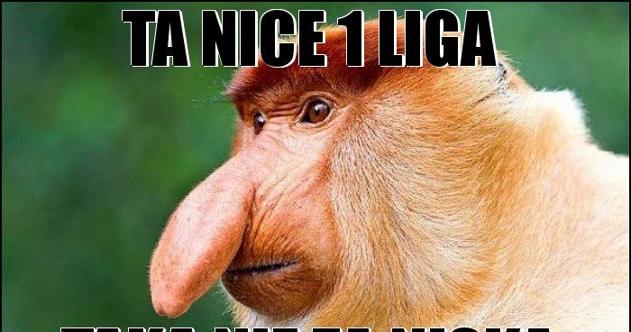 Ta Nice 1 Liga memy, gify i śmieszne obrazki facebook, tapety ...