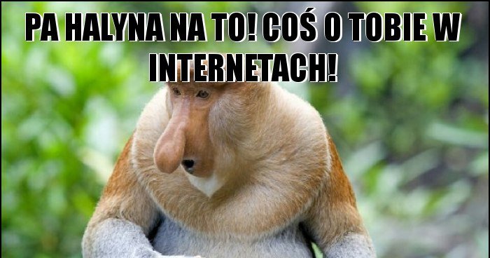 Pa halyna na to! Coś o tobie w internetach! memy, gify i śmieszne ...