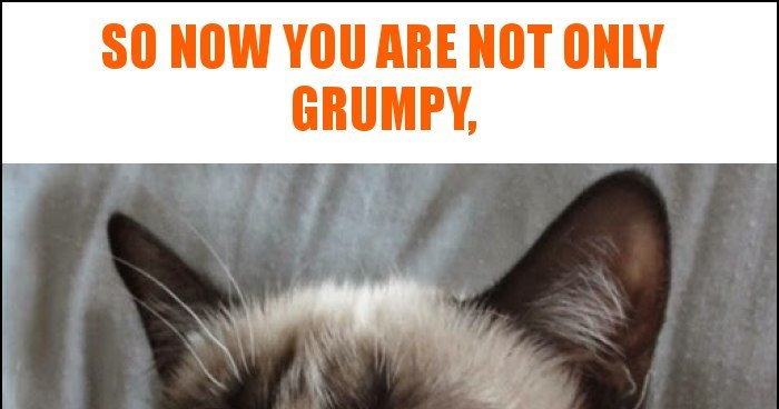 So now you are not only grumpy, memy, gify i śmieszne obrazki facebook ...