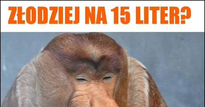 śmieszne Obrazki Z Liter I Znaków