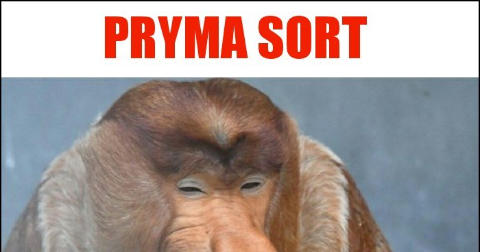 Pryma sort memy, gify i śmieszne obrazki facebook, tapety, demotywatory ...