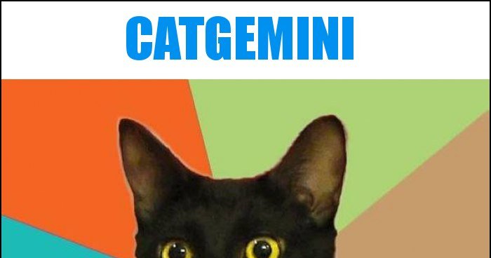 Catgemini memy, gify i śmieszne obrazki facebook, tapety, demotywatory ...