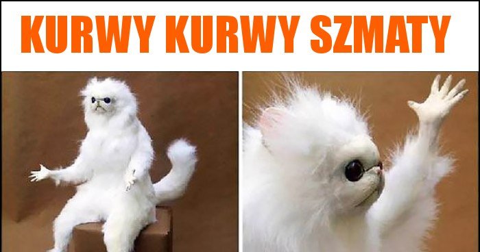 kurwy-kurwy-szmaty-memy-gify-i-mieszne-obrazki-facebook-tapety