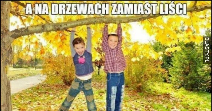 A na drzewach zamiast liści będą wisieć korwiniści dzieci memy, gify i