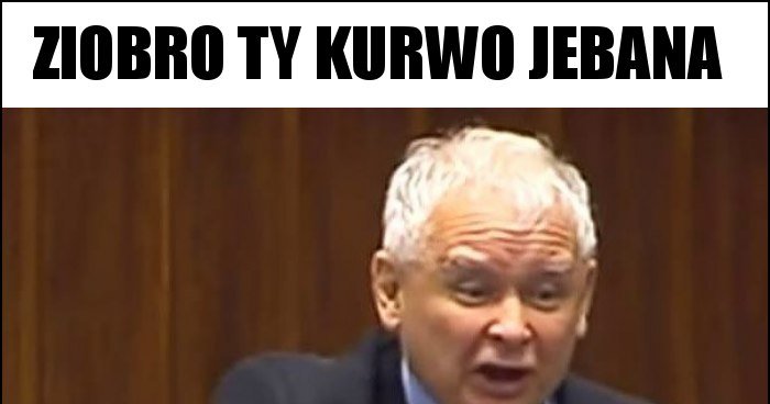 Zyje Dla Gangu Ty Jebana Palo