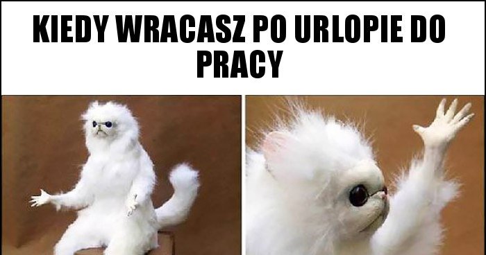 kiedy-wracasz-po-urlopie-do-pracy_2021-01-06_09-32-46.jpg