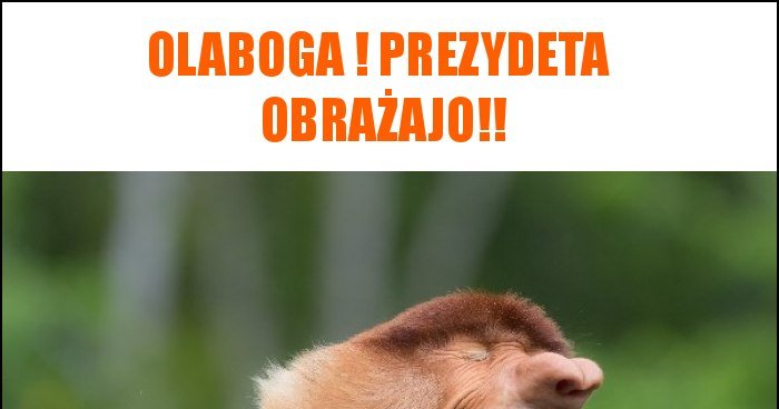 Olaboga ! Prezydeta obrażajo!! memy, gify i śmieszne obrazki facebook ...