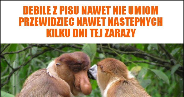 Debile z pisu nawet nie umiom przewidziec nawet nastepnych kilku dni ...