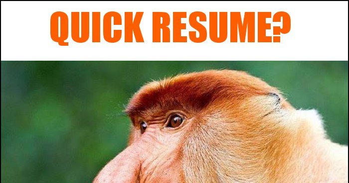 Quick Resume? memy, gify i śmieszne obrazki facebook, tapety ...