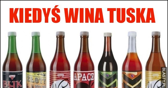 kiedy-wina-tuska-memy-gify-i-mieszne-obrazki-facebook-tapety