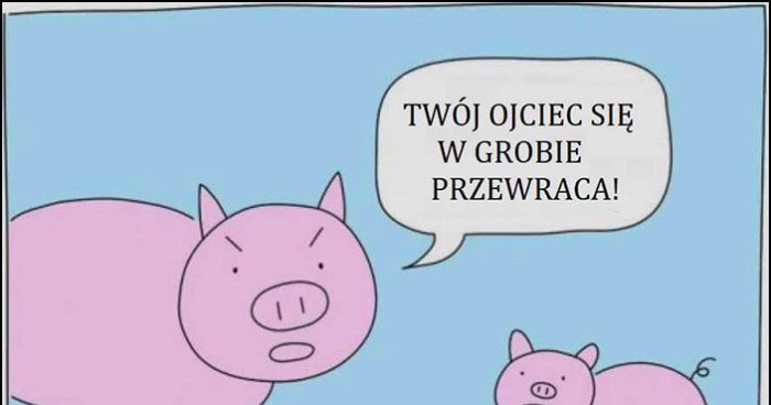 Świnia prosię twój ojciec się w grobie przewraca parówka na rolce ...