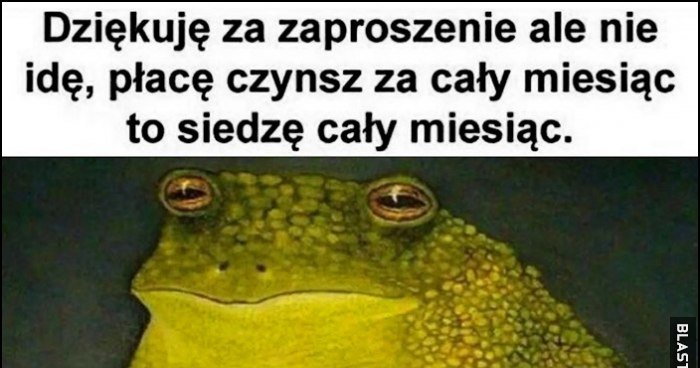 Dzi kuj Za Zaproszenie Ale Nie Id P ac Czynsz Za Ca y Miesi c To 