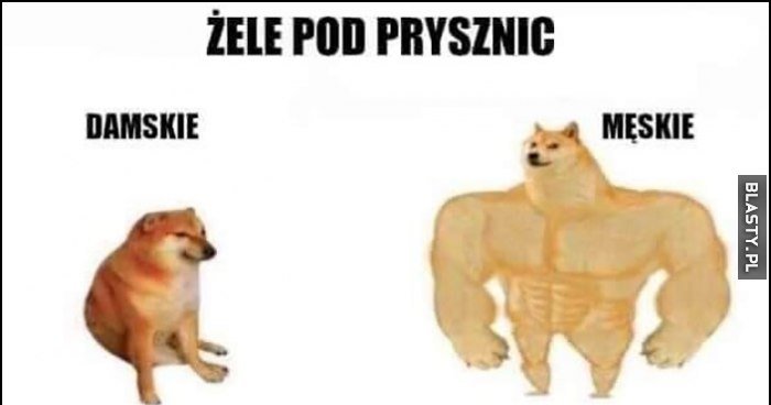 Żele pod prysznic damskie vs męskie porównanie nazw pies pieseł doge ...