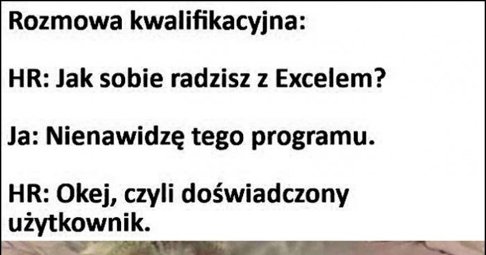 Rozmowa kwalifikacyjna: jak sobie radzisz z Excelem, nienawidzę tego ...