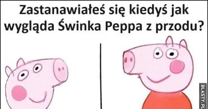 Zastanawiałeś się kiedyś jak wygląda Świnka Peppa z przodu? memy, gify
