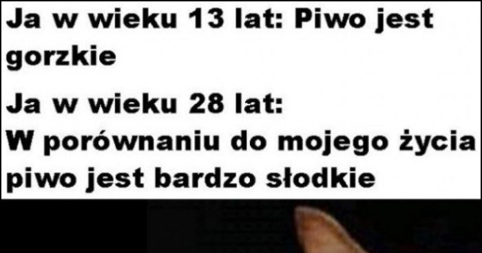 Ja w wieku 13 lat: piwo jest gorzkie, ja w wieku 28 lat: w porównaniu do mojego życia piwo jest bardzo słodkie kot kotek