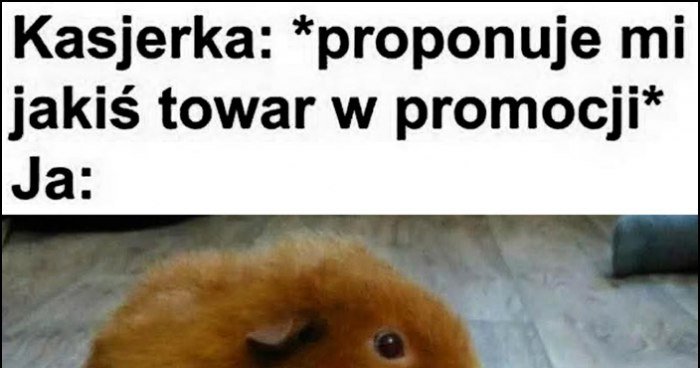 Kasjerka: proponuje mi jakiś towar w promocji, ja: pani, w tym wózku jest wszystko z promocji