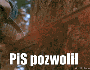 pis pozwolił ja zabraniam memy, gify i śmieszne obrazki facebook, tapety, demotywatory zdjęcia