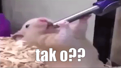 tak-o_2017-04-22_18-55-44.gif