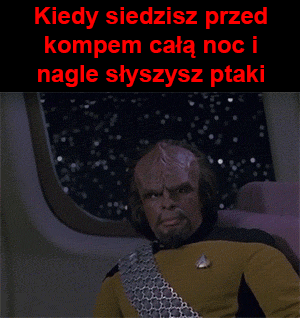 Kiedy Siedzisz Przed Kompem Całą Noc I Nagle Słyszysz Ptaki Memy
