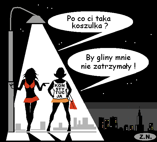 koszulka konstytucja satyra memy, gify i śmieszne obrazki facebook, tapety, demotywatory zdjęcia