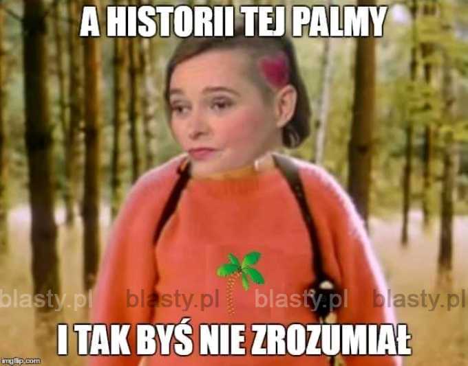 A historii tej palmy i tak byś nie zrozumiał