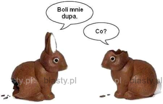 Boli mnie dupa