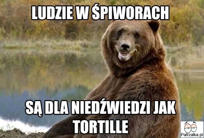 Cała prawda o niedźwiedziach i tortilli