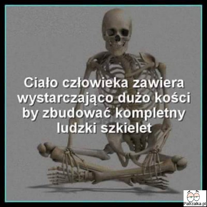 Ciało człowieka anatomia